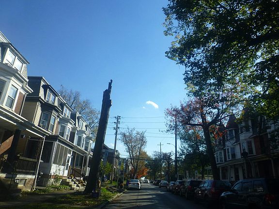 5th image of 1816 Park St