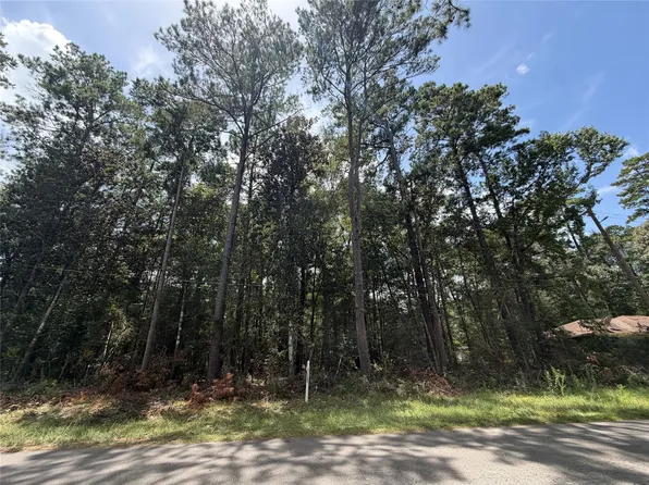 0 W Black Gum Ln, Village Mills, TX 77663