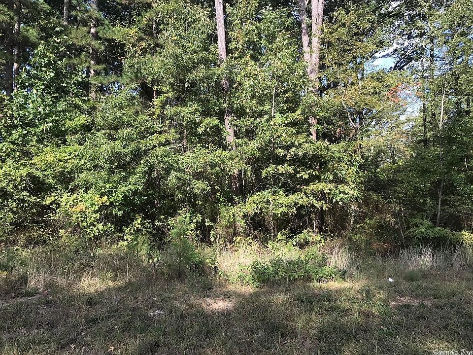 2nd image of Cove Creek Rd
