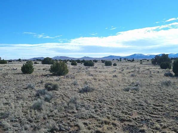 Lakeview Rnch #1, Concho, AZ 85924