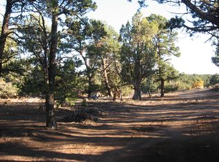 County Rd #335, Monticello, UT 84535