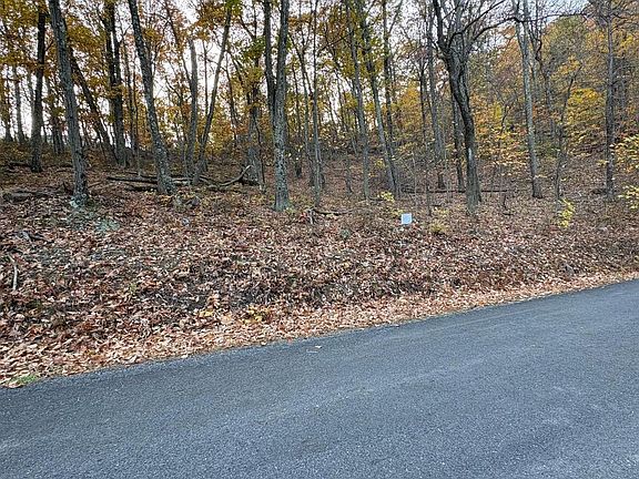 3rd image of 103 Dogwood Trl