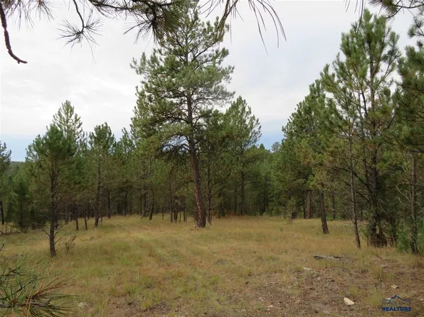 LOT-34B Hombre Trl, Custer, SD 57730