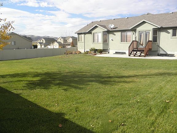 Large Backyard