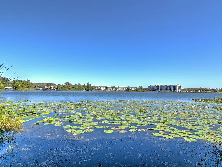 lake view