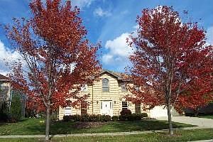 2nd image of 601 Misty Creek Dr
