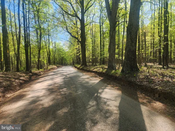 Critton Owl Hollow Rd, Slanesville, WV 25444