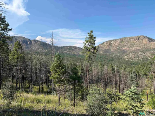 4 W Canyon Loop, Mora, NM 87732