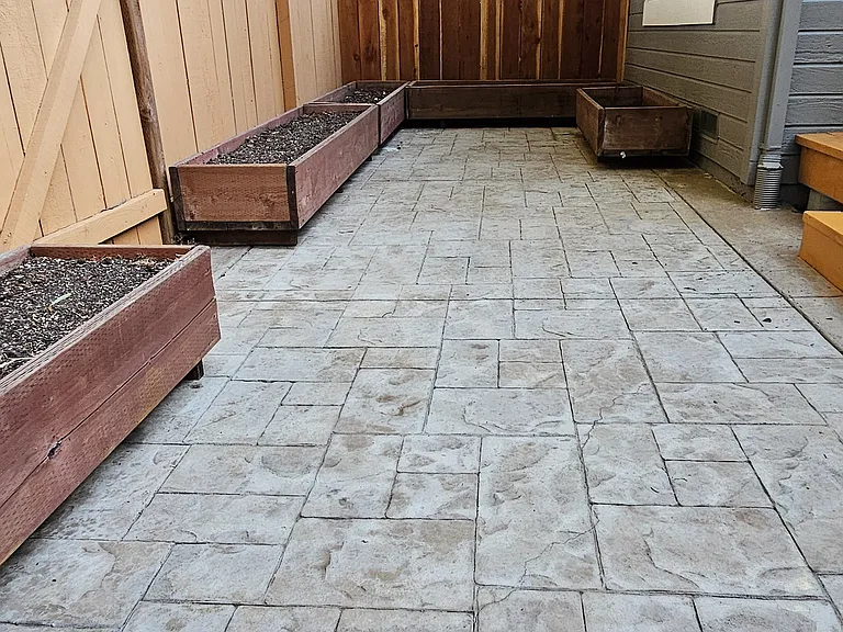 Backyard.