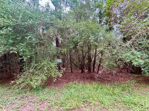Tbd Parkview Dr, Onalaska, TX 77360