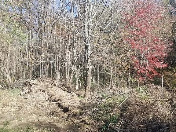2nd image of 14 Blueberry Hill Dr