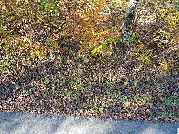 5th image of 678 Lakeshore Dr