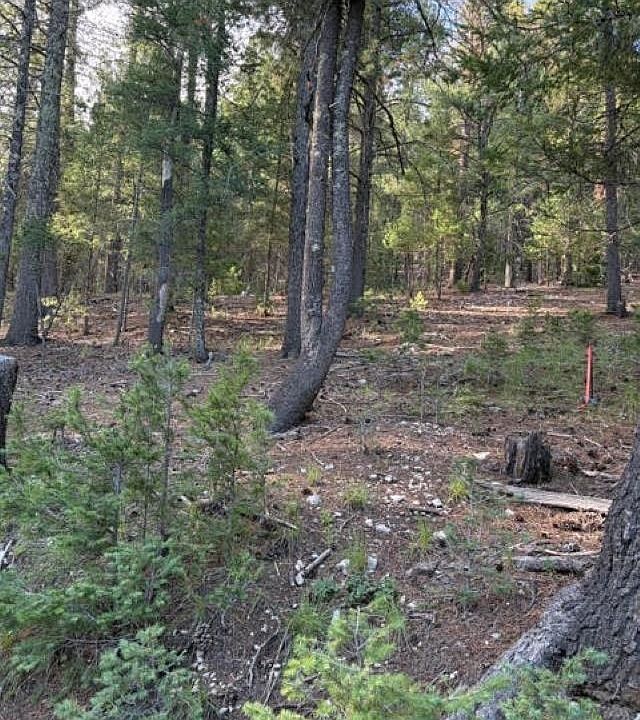 1st image of Woodchuck Ln