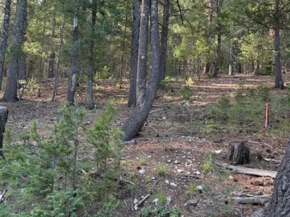 Woodchuck Ln, Cloudcroft, NM 88317