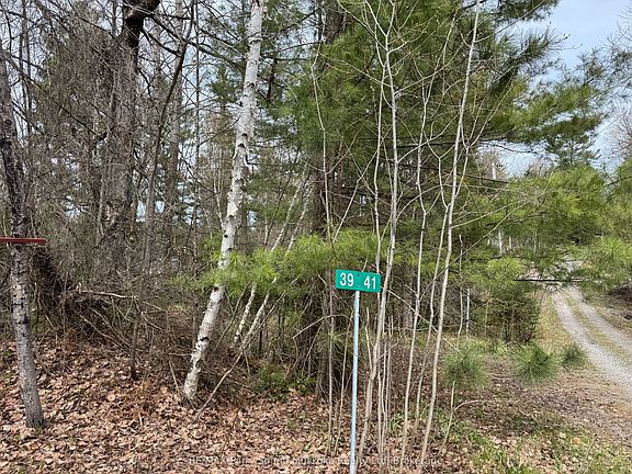 5th image of 35 Weber Rd #41