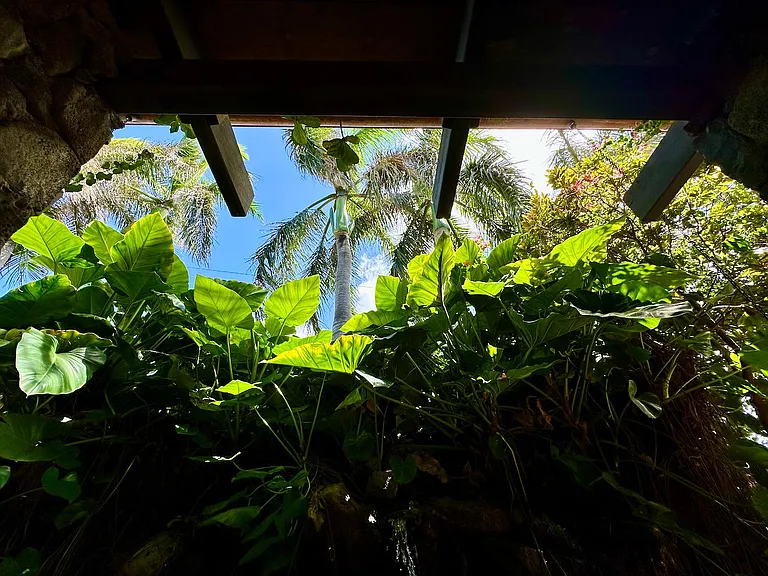 67011 Kaimanu Pl — Photo 24