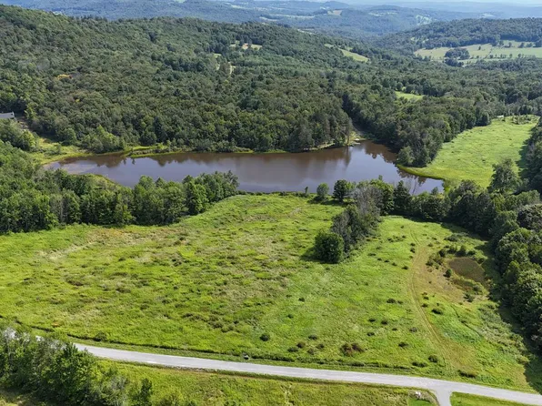 Lot 15 Meadow Lane, Fremont Center, NY 12736