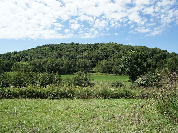Woods and meadows