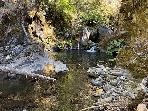 2nd image of Blue Canyon Rd