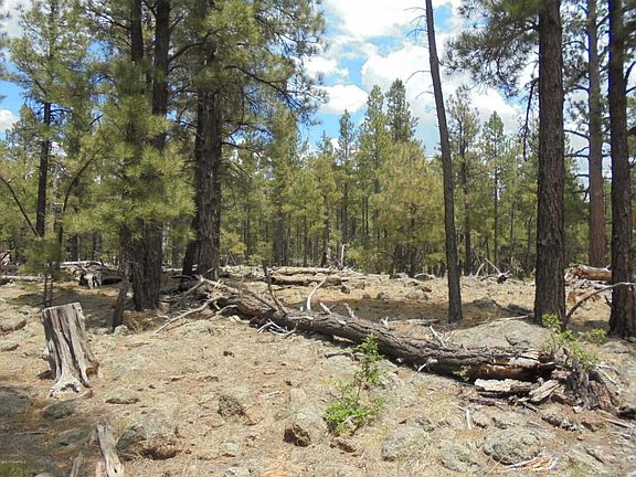 5th image of 4733 S Shiner Ranch Rd
