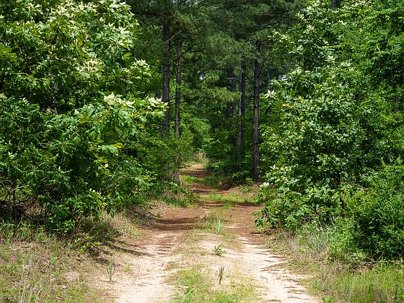 3rd image of State Highway 64 #2