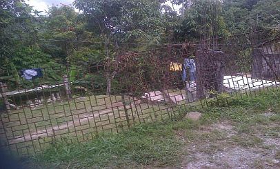 2nd image of 2779 Bo. Maragues Sect. Collado