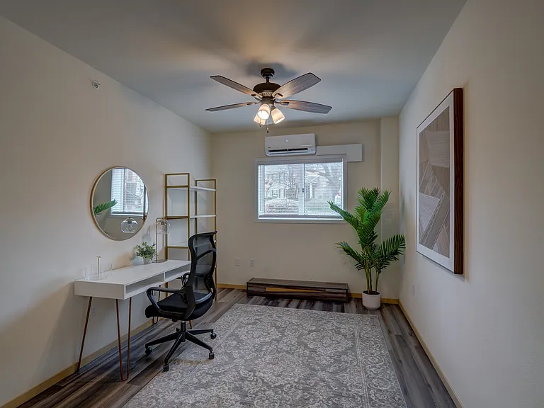 Desk and Chair for office set up, plus a shelf for storage. Ring light included
