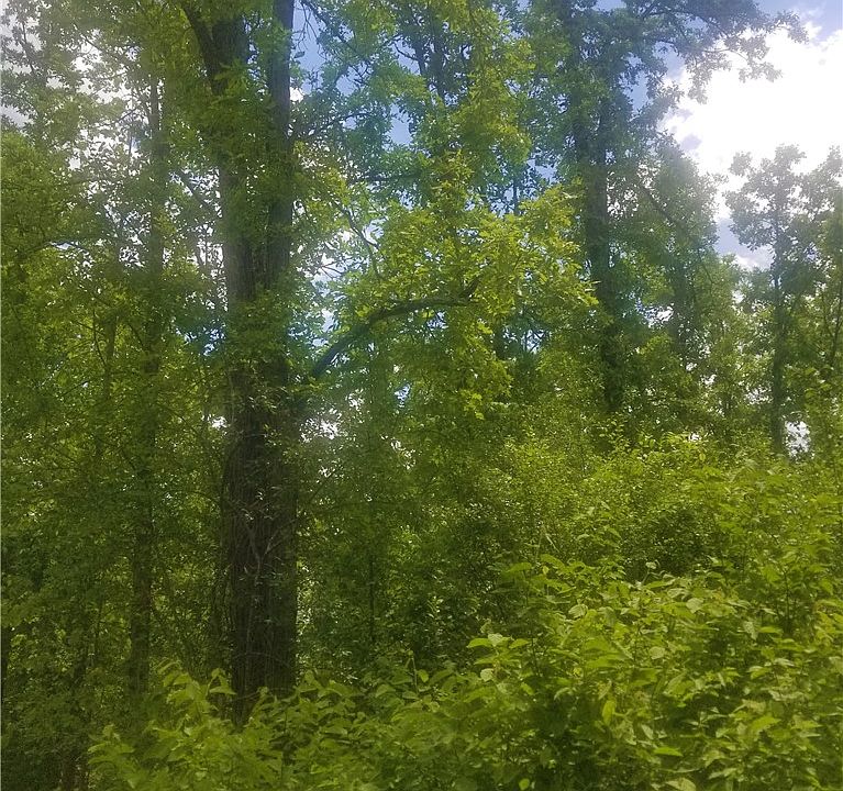 1st image of 000 Grouse Road