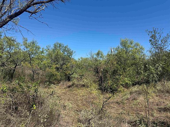 5th image of TBD Lot 149 Concho Trail