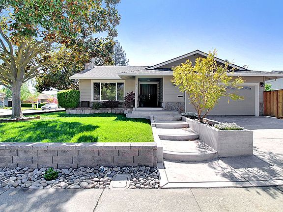 Lush Lawn & Magnolia Trees