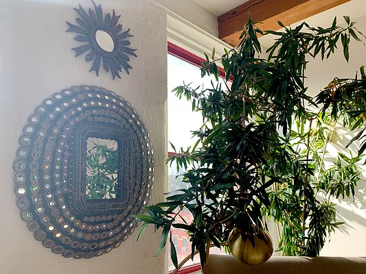 Rented by Compass | media 26