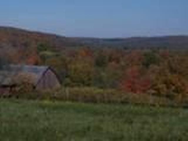 2nd image of 1 Maple