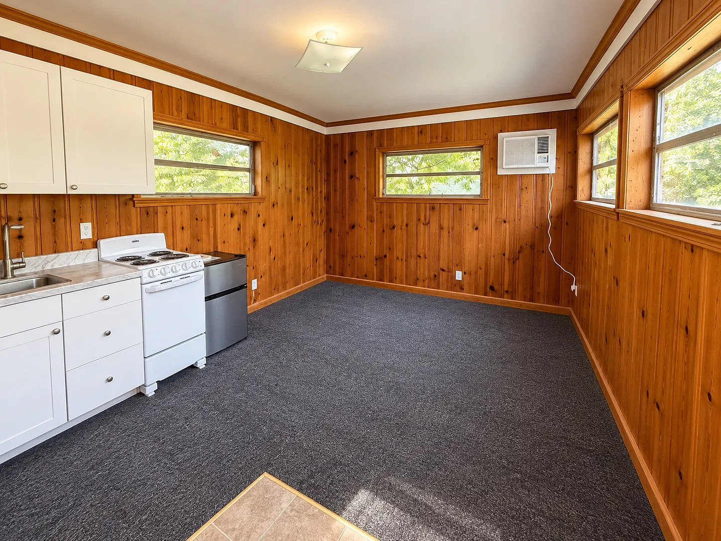 Studio, 250 sqft, $600 — Photo 3