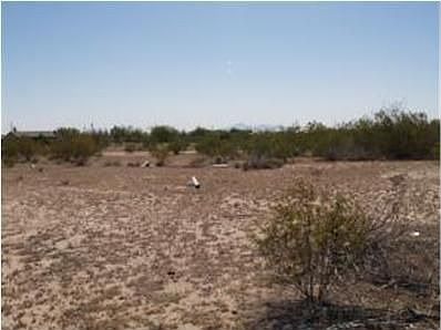 4th image of 10564 N Little Wind Way