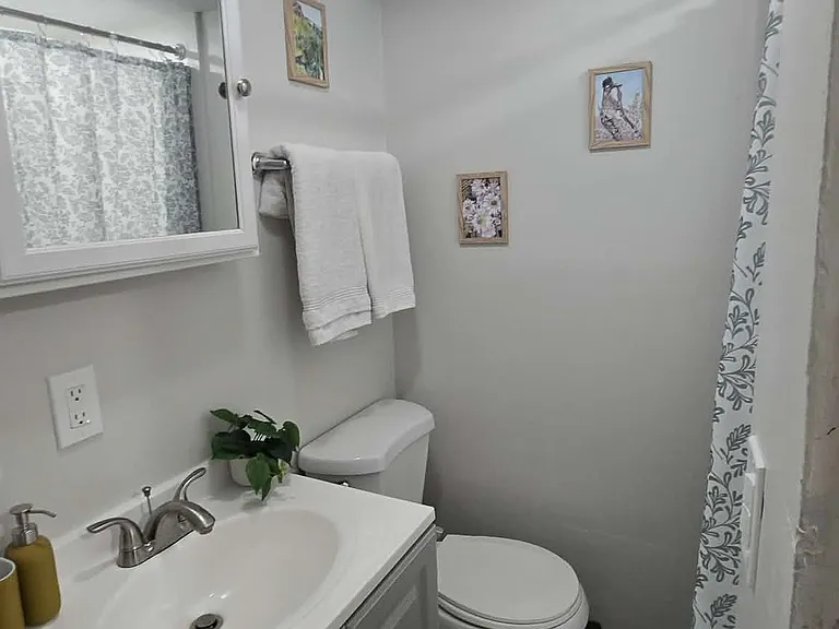 509 W Dana Ave — Photo 17