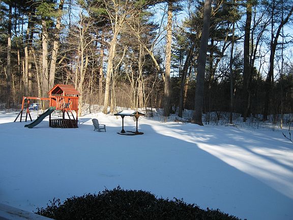 large back yard