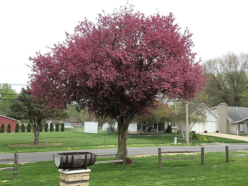 Front yard