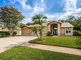 10216 Vista Pointe Dr, Tampa, FL 33635