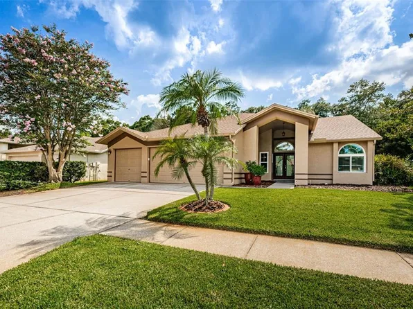 10216 Vista Pointe Dr, Tampa, FL 33635