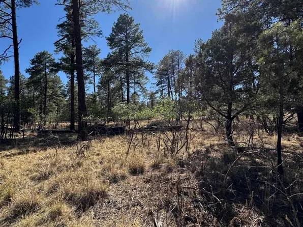 95 Tonto Dr, Timberon, NM 88350