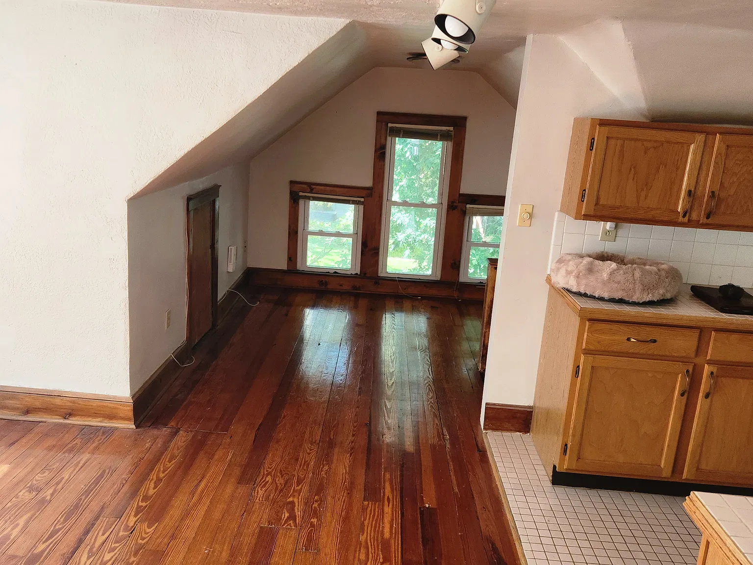 4123 Terrace St — Photo 3