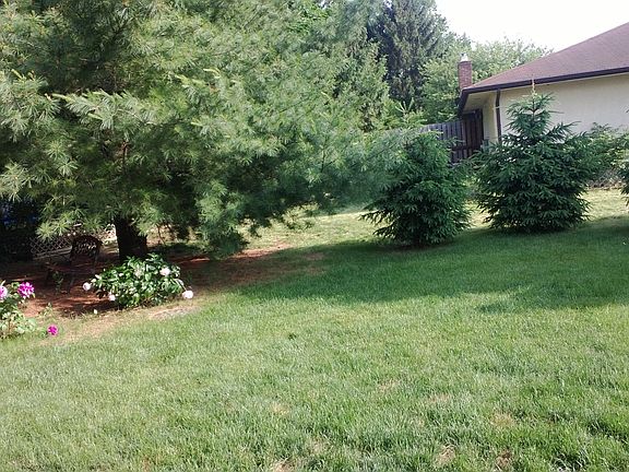 Private yard with covered patio