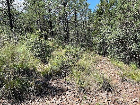 2nd image of 5 Cibola Dr