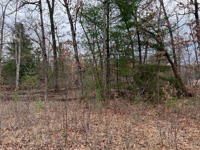 3905 Maple Dr, Wellston, MI, 49689