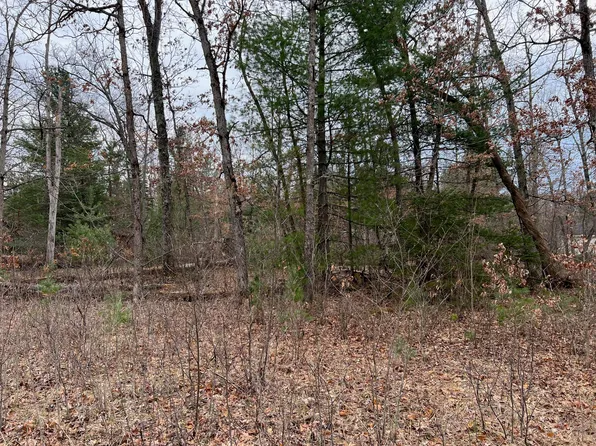 3905 Maple Dr, Wellston, MI 49689