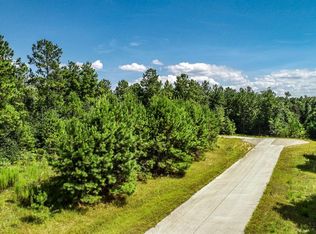 2102 Bambi Ct, Cleveland, TX 77328