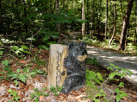 Lot borders national park