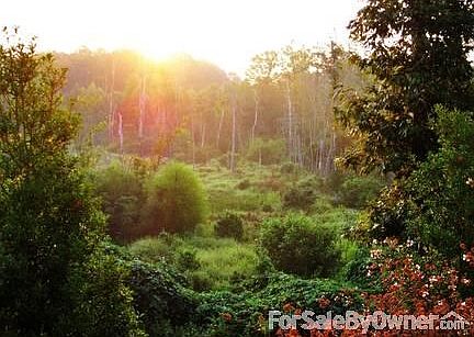 Grand Window
						:
						View from Inside Livingroom