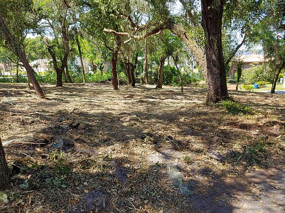 5th image of 0 SPANISH BLUFF Drive