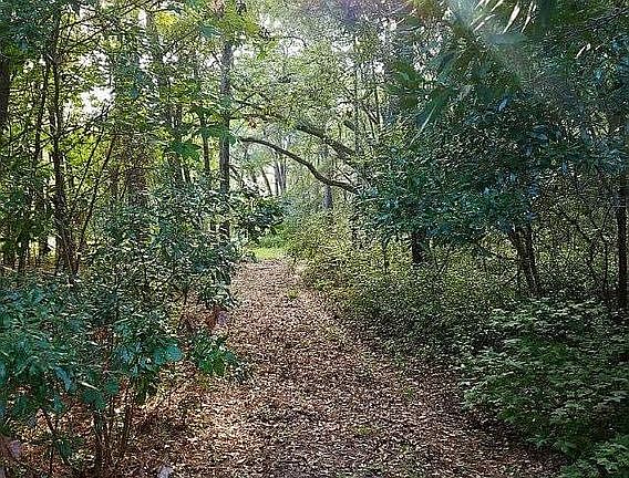 Lot Entry Late Summer